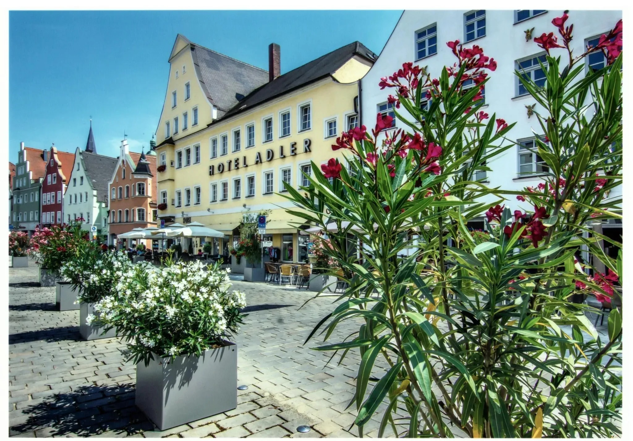 Image for Hotel Adler