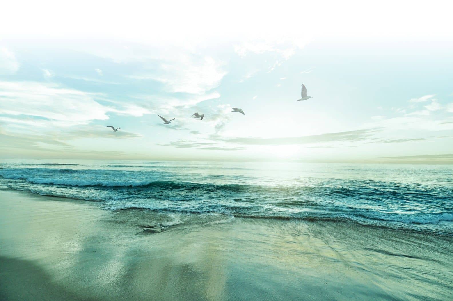 Jakob - Banner