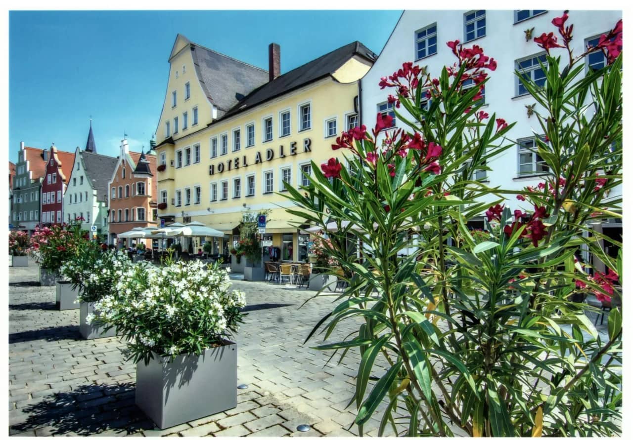 Image for Hotel Adler