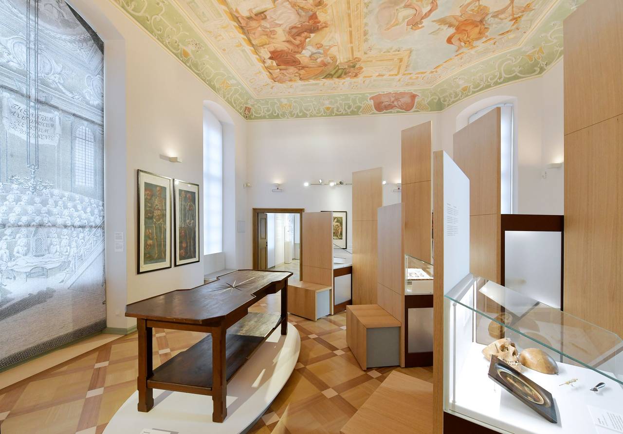 Image for Dauerausstellung in der Alten Anatomie - Deutsches Medizinhistorisches Museum