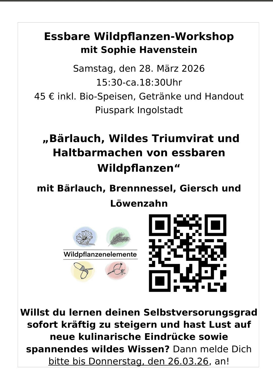 Bärlauch, Wildes Triumvirat und Haltbarmachen von essbaren Wildpflanzen