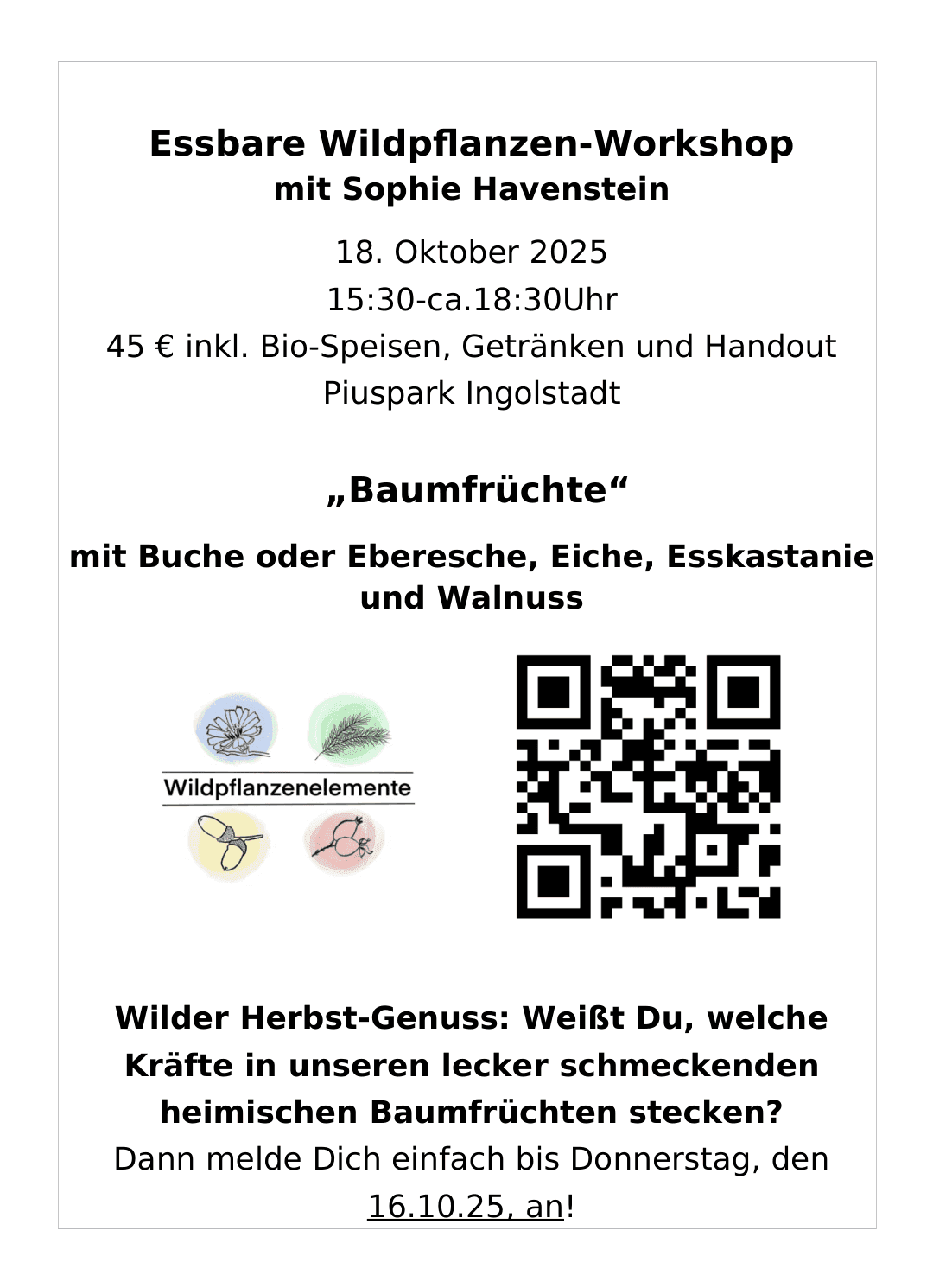 Image for Essbare Wildpflanzen-Workshop im Oktober -